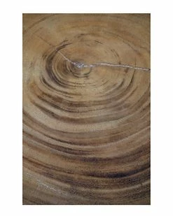 East At Main Hira Acacia Accent Table Home -East at Main Sales Store 3050136868 RLLD 4