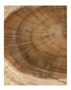 East At Main Antonia Accent Table Home -East at Main Sales Store 3050222969 RLLD 4