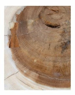 East At Main Abruka Teak Stool Home -East at Main Sales Store 3050469373 RLLD 4